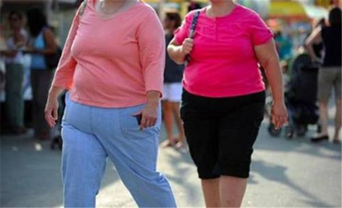 肥胖与糖尿病的关系是什么?